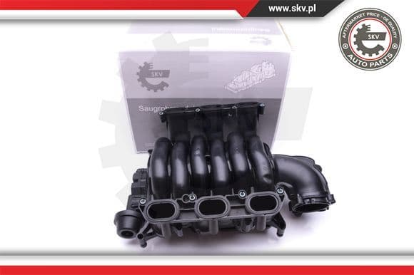 Intake Manifold Module 49SKV004