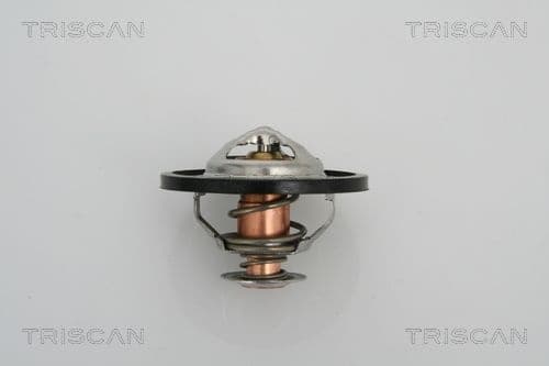 Thermostat, coolant 8620 13591