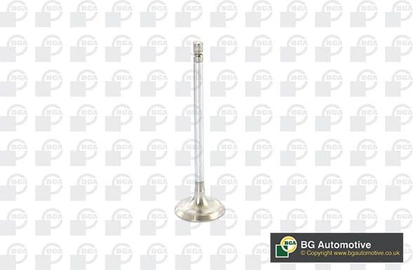 Intake Valve V917010