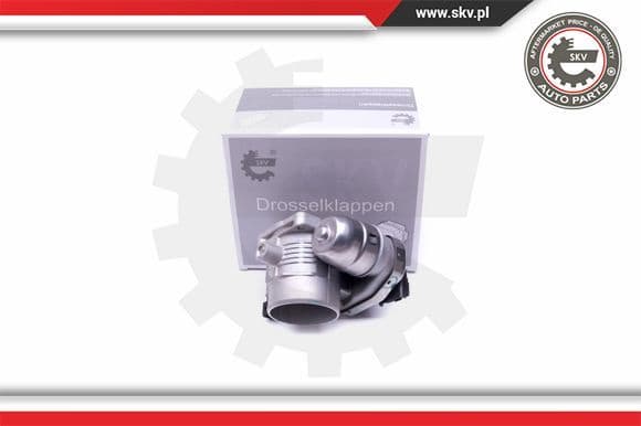 Throttle Body 12SKV079