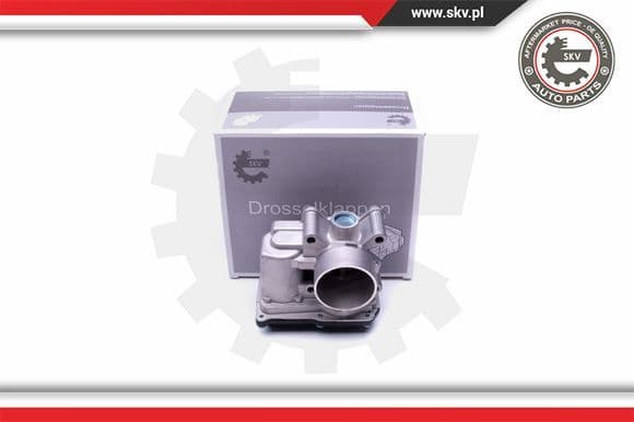 Throttle Body 12SKV076