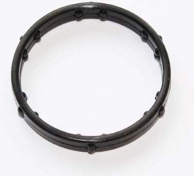 Gasket, coolant flange 340.420
