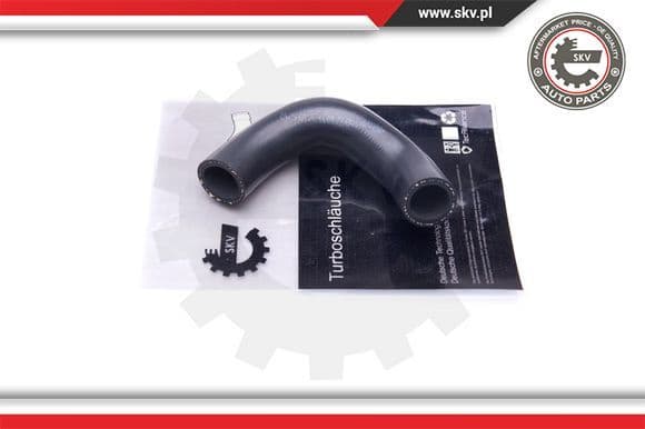 Charge Air Hose 43SKV408