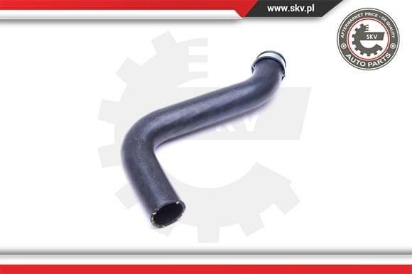 Radiator Hose 43SKV863 - image 3