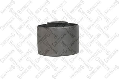 Mounting, transfer case 77-01029-SX