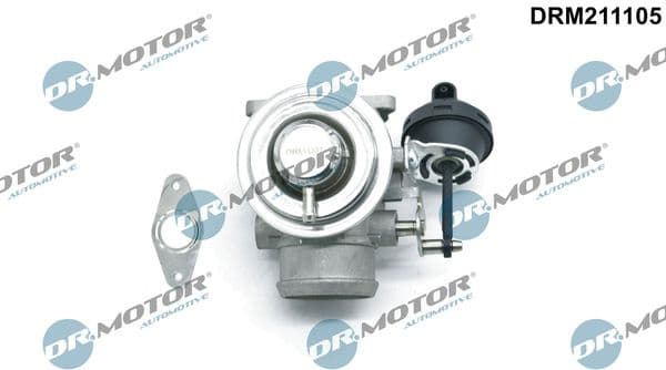 EGR Valve DRM211105