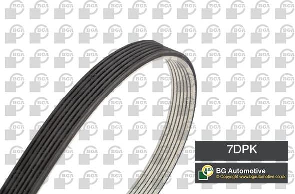 V-ribbed Belt 7DPK1884