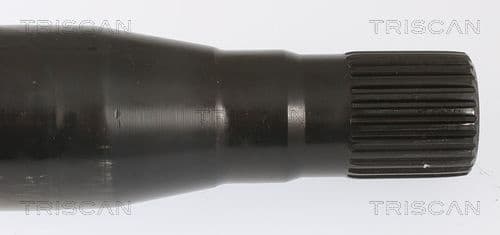 8530 23236 - image 4