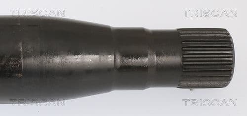 8530 23237 - image 4