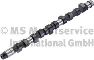 Camshaft 50006216