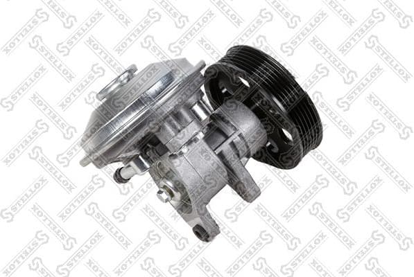 Vacuum Pump, braking system 10-02516-SX