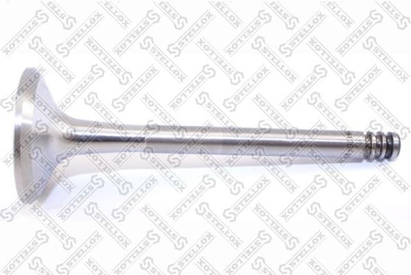 Exhaust Valve 01-24120-SX