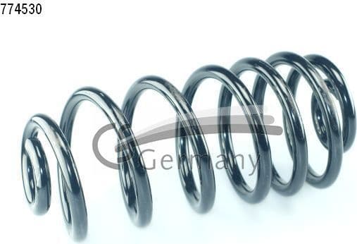 Suspension Spring 14774530