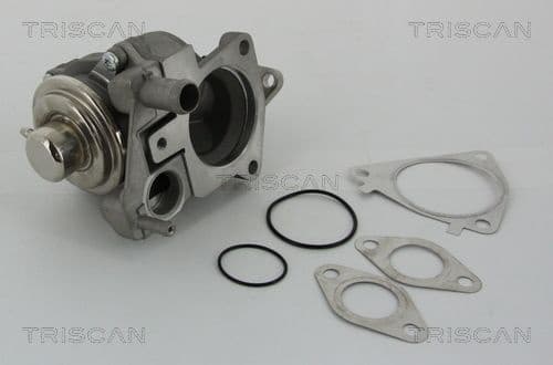 EGR Valve 8813 28019