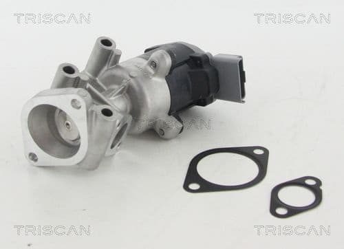 EGR Valve 8813 10009