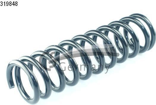 Suspension Spring 14319848