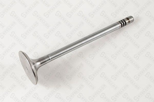 Intake Valve 01-24384-SX