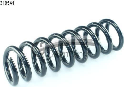 Suspension Spring 14319541
