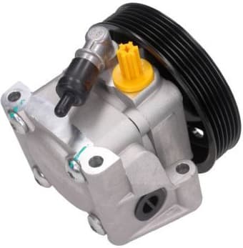 Hydraulic Pump, steering 48-0113