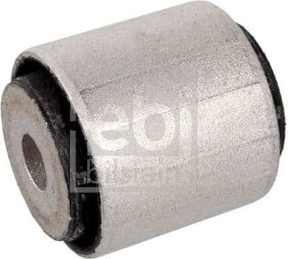 Mounting, control/trailing arm 173329