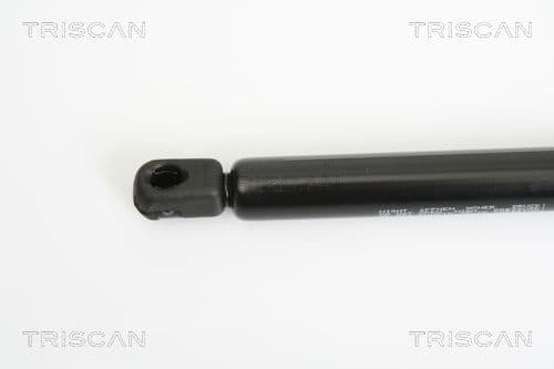 Gas Spring, boot/cargo area 8710 24230 - image 2