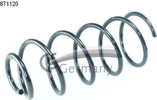 Suspension Spring 14871120