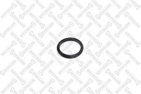 Seal Ring, water pump 89-01077-SX