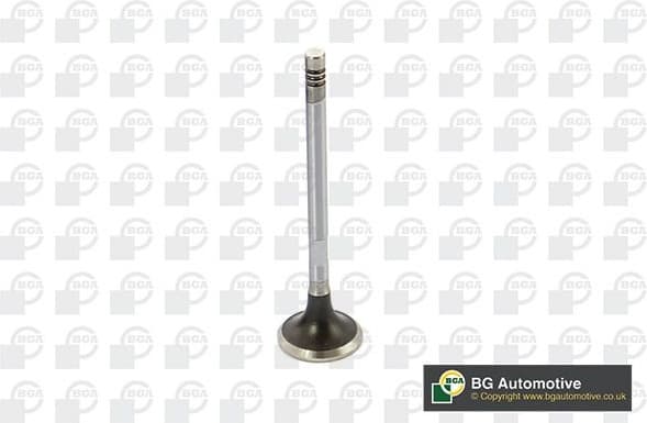 Exhaust Valve V424832