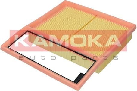 Air Filter F252901
