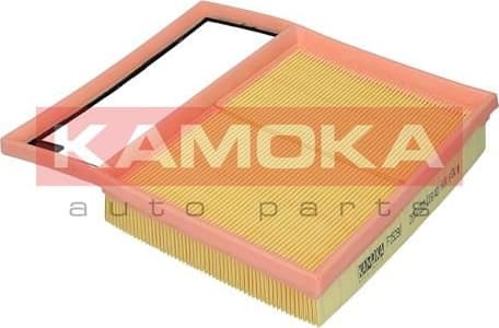 Air Filter F252901 - image 2