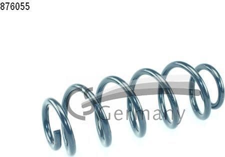 Suspension Spring 14876055