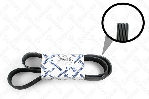 V-ribbed Belt 08-01395-SX