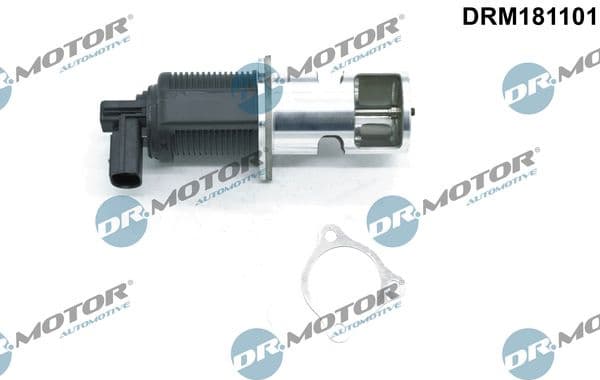 EGR Valve DRM181101