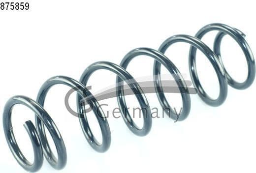Suspension Spring 14875859