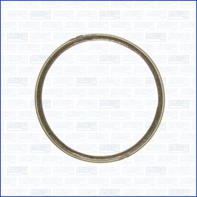 Seal Ring, exhaust pipe 19004400