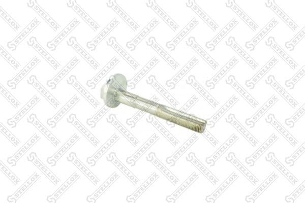 Camber Correction Screw 79-01137-SX