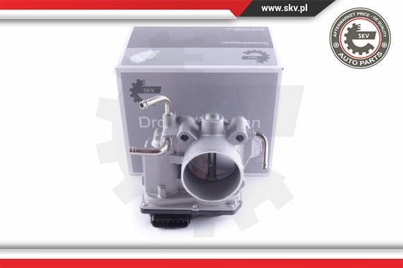 Throttle Body 12SKV099