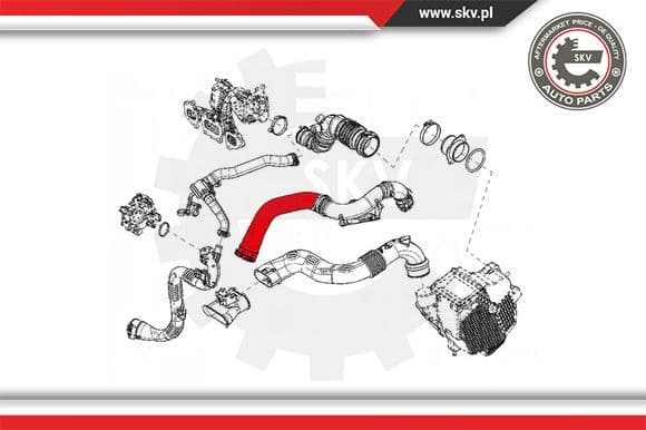 Charge Air Hose 43SKV095
