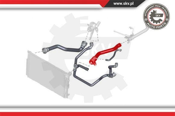 Radiator Hose 43SKV743 - image 4