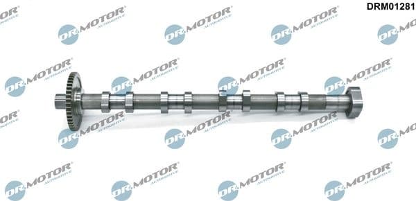Camshaft DRM01281