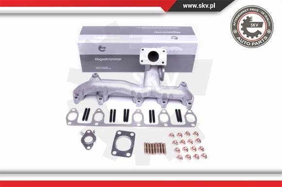 Manifold, exhaust system 49SKV052