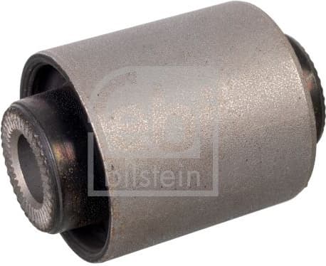 Mounting, control/trailing arm 172381