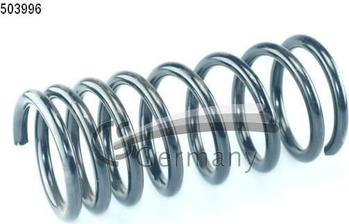 Suspension Spring 14503996