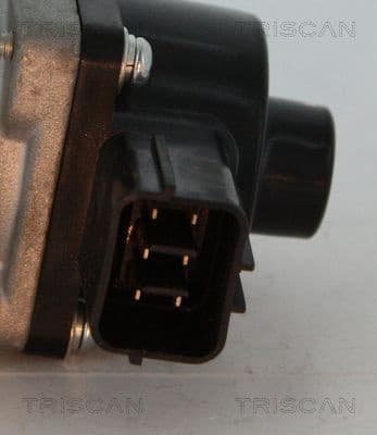 8813 10014 - image 4