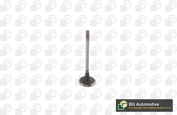 Intake Valve V232015