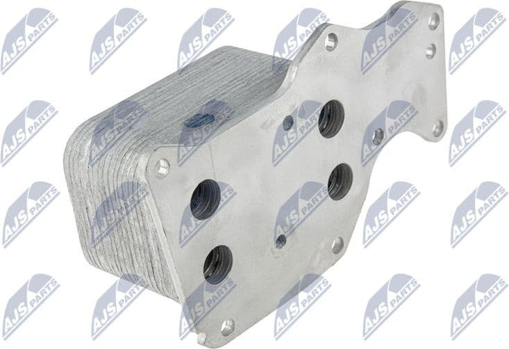 CCL-BM-024 - image 2