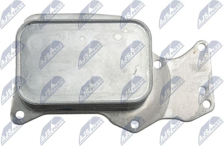 CCL-BM-024 - image 3