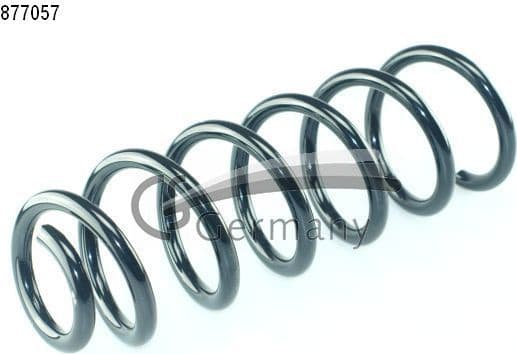 Suspension Spring 14877057