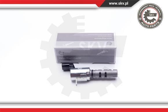 Control Valve, camshaft adjustment 39SKV032