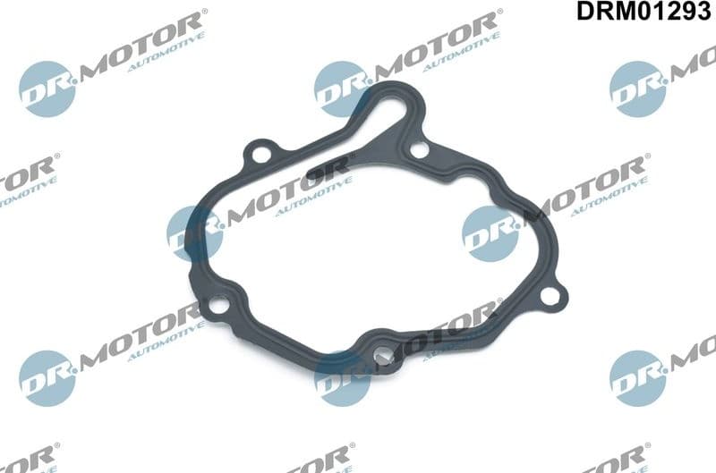 Gasket, vacuum pump DRM01293